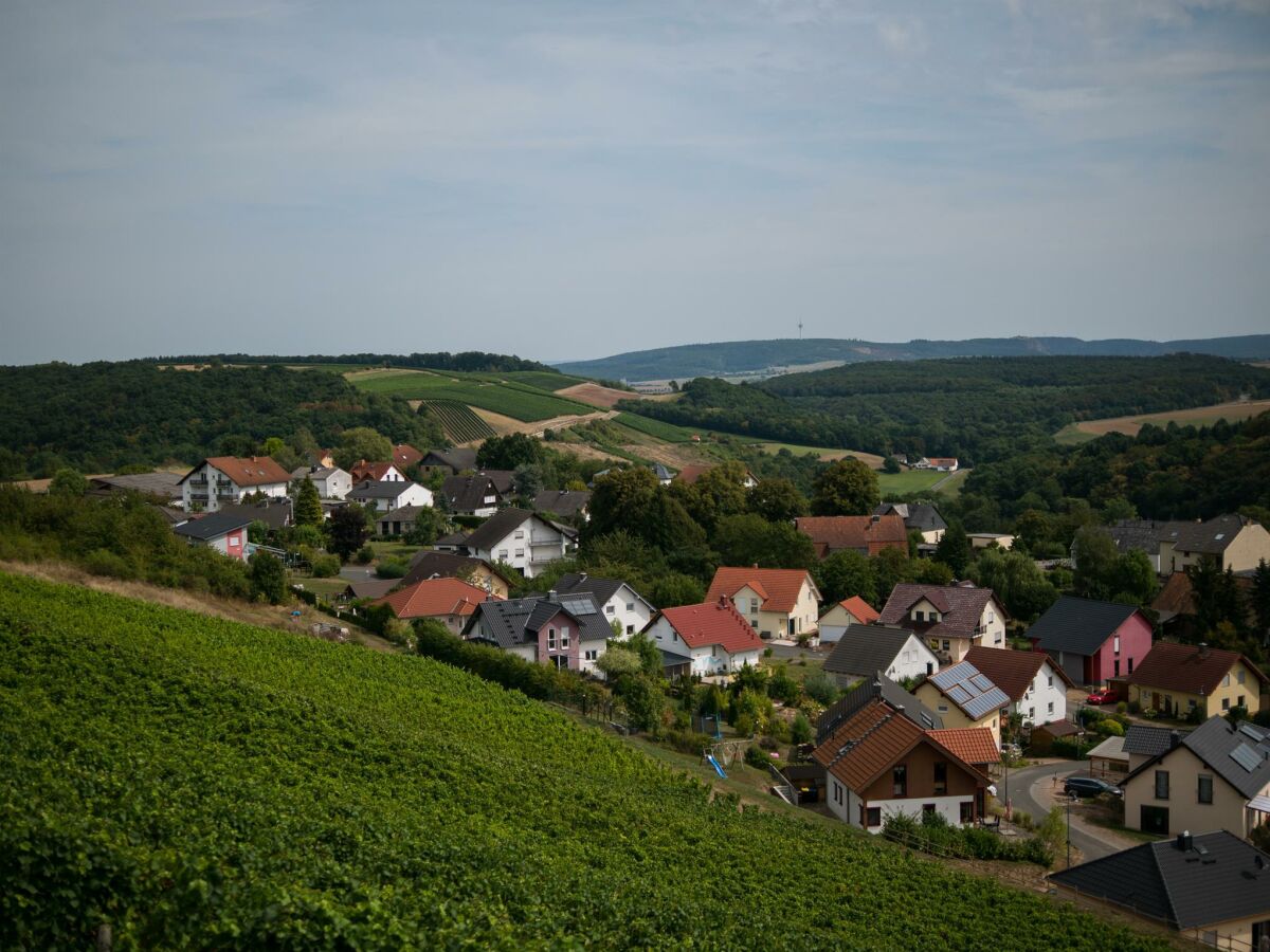 Apartment 2-Bettwohnung (35 qm) - Pfaffenberg - Outdoor photo 5