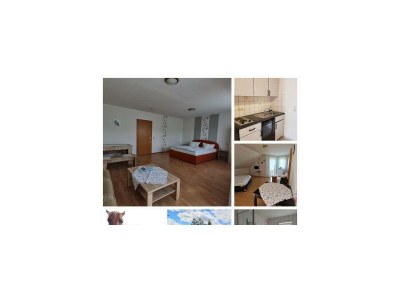 Apartment 2-Bettwohnung (35 qm) - Pfaffenberg - Outdoor photo 10