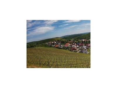 Apartment 2-Bettwohnung (35 qm) - Pfaffenberg - Outdoor photo 14