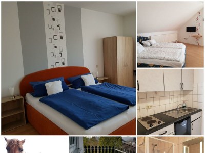 Apartment 2-Bettwohnung (35 qm) - Pfaffenberg - Outdoor photo 18