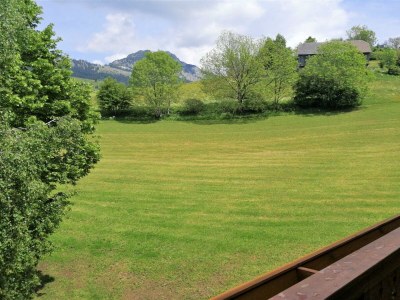 Apartment Ferienhof Gindl und Gästehaus Gindl / Kulm - Outdoor photo 13