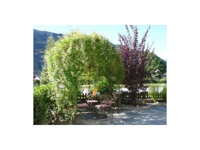Apartment Appartement Fichte - Outdoor photo 7