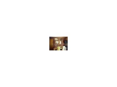 Apartment 2-Bettwohnung - Features photo 18
