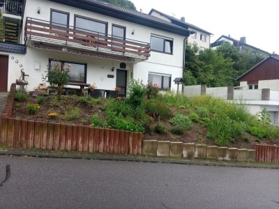 Apartment Ferienwohnung am Sonnenhang: Erdgeschoss in Hausen / Wied - Reuschenbach - Apartment