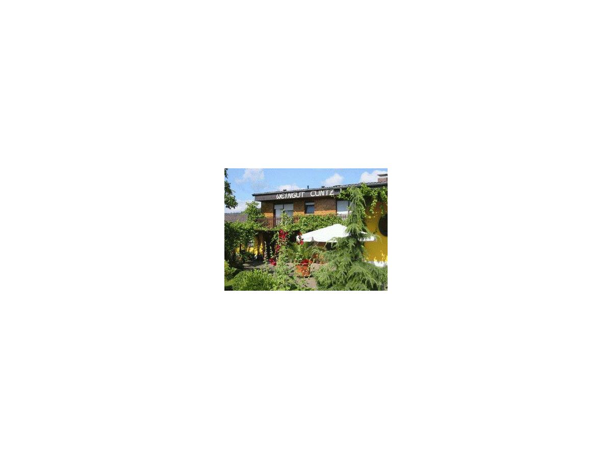 Apartment FEWO mit Terrasse
