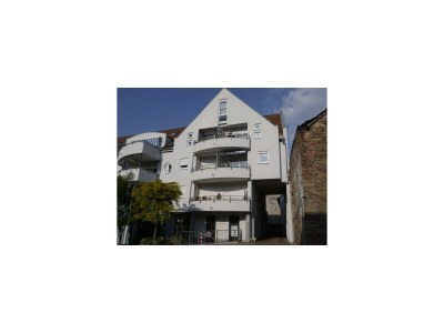 Apartment Fewo, Bad, WC, neuwertig in Neustadt an der Weinstraße - Apartment