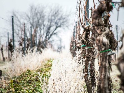 Apartment Fewo Kastanienbusch - Outdoor photo 25