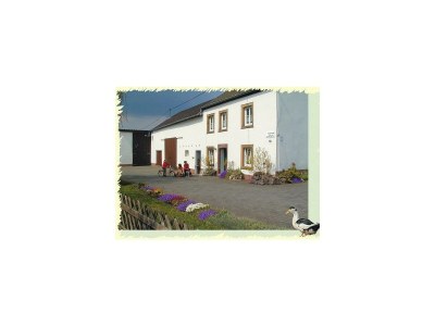 Apartment 7-Bett-Ferienhaus Bermeshof - Features photo 20
