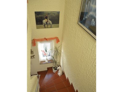 Apartment 2-Bett-Ferienwohnung, Dusche/WC, 1 Schlafraum - Outdoor photo 14