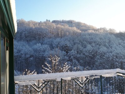 Apartment 2-Bett-Ferienwohnung, Dusche/WC, 1 Schlafraum - Outdoor photo 28