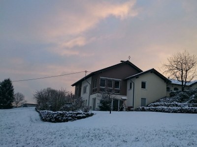 Apartment 2-Bett-Ferienw. Wald und Wiese Du/WC, Nichtraucher in Gerolstein-Roth - Apartment