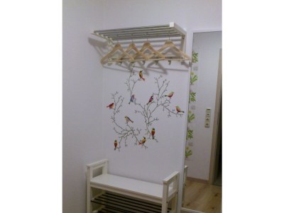 Apartment 2-Bett-Ferienw. Wald und Wiese Du/WC, Nichtraucher - Outdoor photo 11