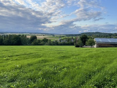 Apartment 2-Bett-Ferienw. Wald und Wiese Du/WC, Nichtraucher - Outdoor photo 27
