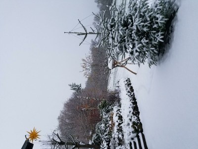 Apartment 2-Bett-Ferienw. Wald und Wiese Du/WC, Nichtraucher - Outdoor photo 45