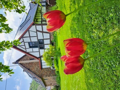 Apartment 2-Bett-Ferienwohnung Dorfblick - Outdoor photo 11