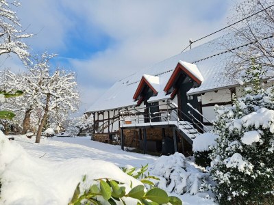 Apartment 2-Bett-Ferienwohnung Dorfblick - Outdoor photo 13