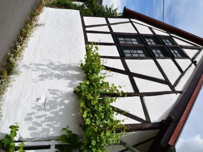 Apartment 2-Bett-Ferienwohnung Dorfblick - Outdoor photo 15
