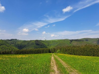 Apartment 2-Bett-Ferienwohnung Dorfblick - Outdoor photo 19