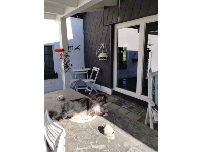 Apartment 2-Bett-Ferienwohnung mit Wintergarten - Outdoor photo 17