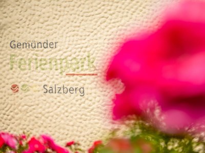 Apartment 4-Bett-Apartment Eifelgold (6 Pers, zwei Schlafz.) - Outdoor photo 6