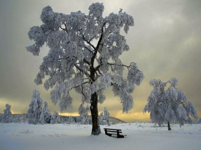 Apartment 4-Bettwohnung (Typ 1-A) - Outdoor photo 14