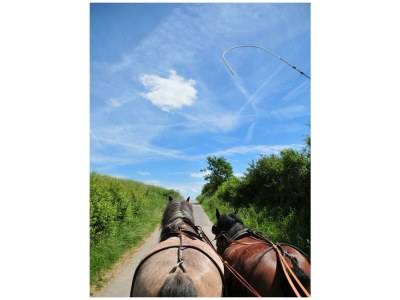 Apartment Ferienwohnung Wildrose - bis 7 Personen - Outdoor photo 8