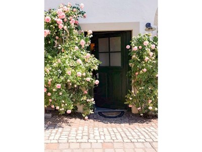 Apartment Modern Country Cottage bis 5 Pers. - Outdoor photo 2