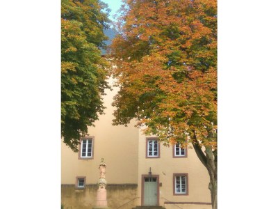 Apartment 2-Bett-Studio - historischer Charme und Design - Outdoor photo 5