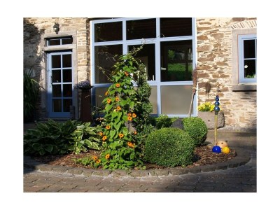Apartment 4-Bett-Ferienwohnung Hochsitz - Outdoor photo 37