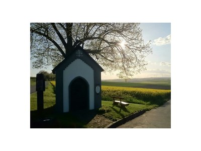 Apartment 2-Bett-Ferienwohnung Maifeld - Outdoor photo 8