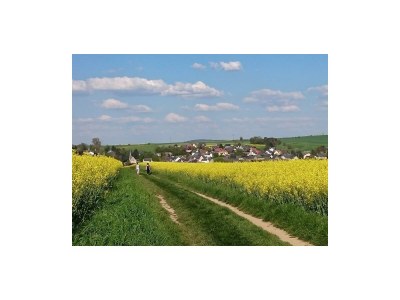 Apartment 2-Bett-Ferienwohnung Maifeld - Outdoor photo 10