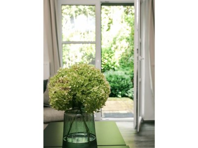 Apartment Ferienhaus LindGrün bis 8 Personen - Outdoor photo 22