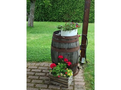 Apartment Riesling Gartenblick - Outdoor photo 10