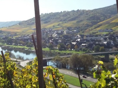Apartment Appartement  Goldlay - Outdoor photo 9