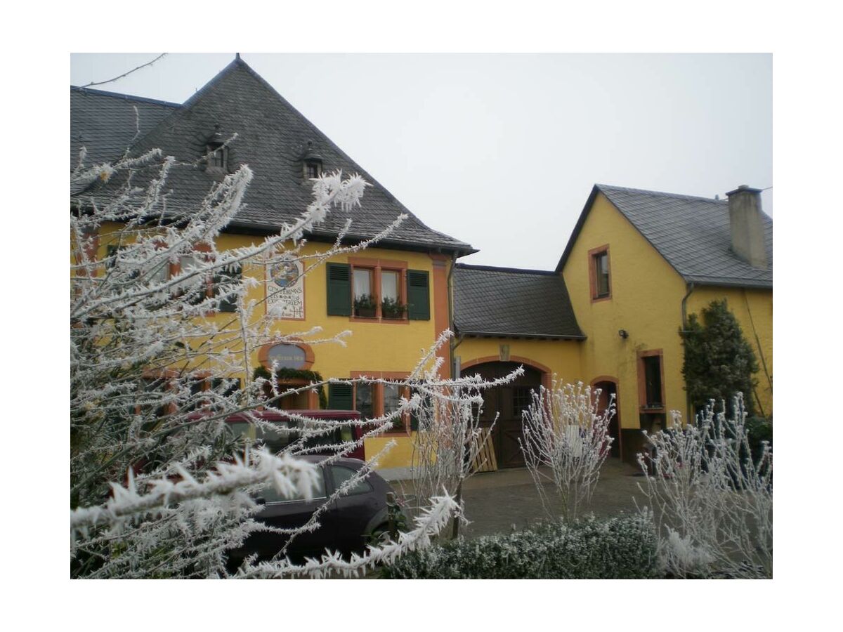 Apartment Ballsaal - Wohnung für 2-6 Personen