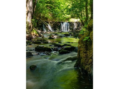 Apartment Appartement/Fewo, Dusche, WC, 1 Schlafraum - Outdoor photo 13