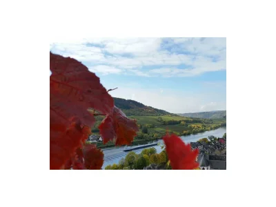 Apartment Appartement/Fewo, Dusche, WC, 1 Schlafraum - Outdoor photo 19