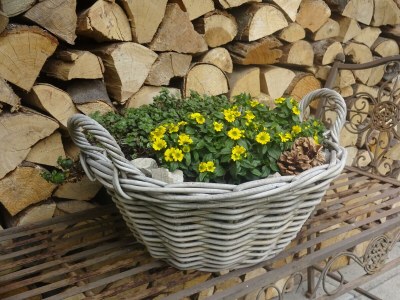 Apartment Appartement/Fewo, Bad, WC, 1 Schlafraum - Outdoor photo 22