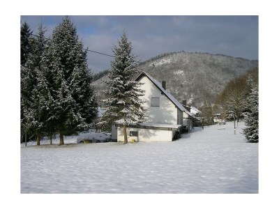 Apartment Fewo Thömmes in Gräfendhron - Apartment