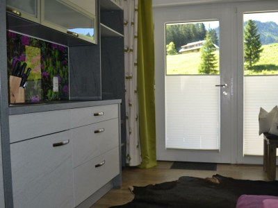 Apartment Appartement -Nr. 1  Dusche/WC, 1 Schlafraum - Outdoor photo 8