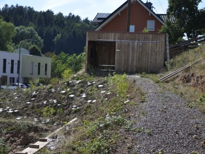 Apartment FW "BASTOGNE" DG - Outdoor photo 15