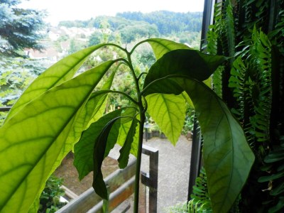 Apartment Appartement - Outdoor photo 6