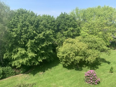 Holiday apartment Very stylish 75m² 3-bed apartment!!! - Environment photo 29