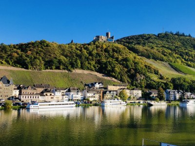 Holiday apartment Moselle Reschke - Environment photo 20