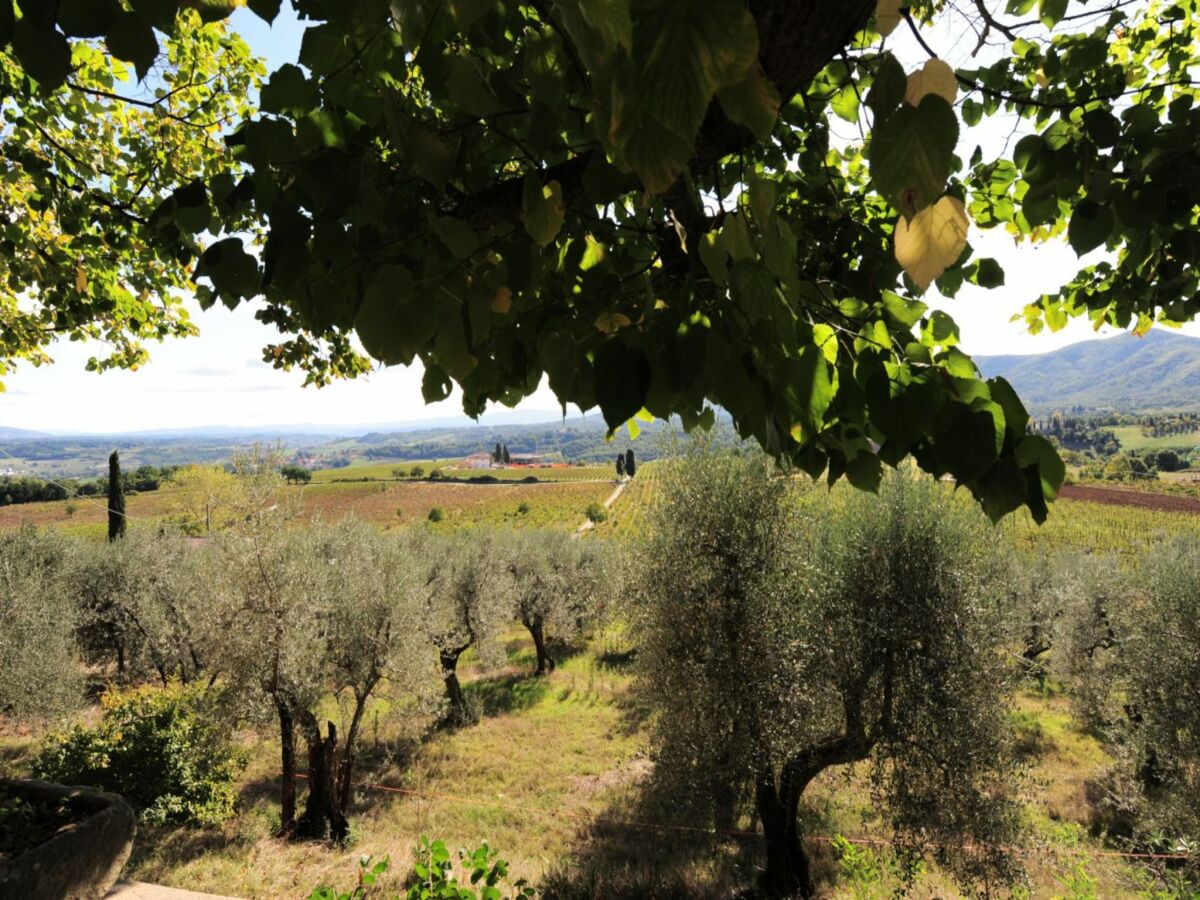 Villa Rustic Elegance Near Florence - Outdoor photo 5