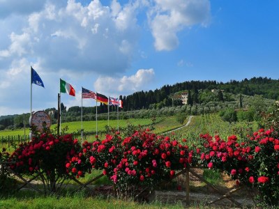 Villa Rustic Elegance Near Florence - Outdoor photo 14