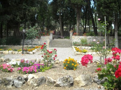 Villa Rustic Elegance Near Florence - Outdoor photo 15