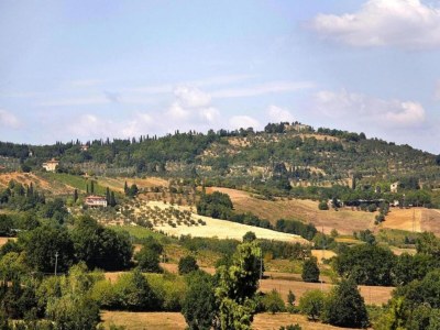 Villa Rustic Elegance Near Florence - Environment photo 38