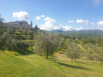 Holiday house Tuscany Bliss: Garden Retreat - Environment photo 21