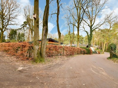 Holiday house Wooden Holiday Home in Meijel with Private Garden - Environment photo 37
